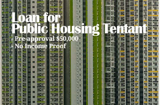 Financial Need |Personal Loan |New Tenants of Public Housing |Home Renovation